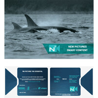 NewPictures logo - Similar company to Project Pressure