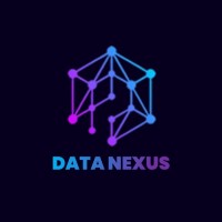 Data Nexus logo - Similar company to Data Nexus