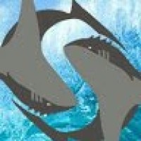 SARK HR CONSULTANCY logo - Similar company to Job Fields Hr Consultancy