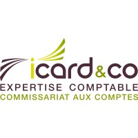 Cabinet ICARD & CO logo - Similar company to Cabinet Solutio
