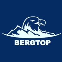 BergTop VC logo - Similar company to Identix.Space