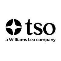 TSO Best Practice Publishing logo - Similar company to Dvms Institute
