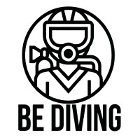 Be Diving México logo - Similar company to Bluelab Studios