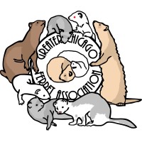 Greater Chicago Ferret Association