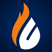 Copenhagen Flames logo - Similar company to Bitfix Gaming
