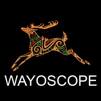WAYOSCOPE logo - Similar company to Zero Plastic Wayamba