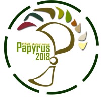 PPSMB Papyrus FA UGM logo - Similar company to Anyang Xinlongsen Metallurgical Material Co.,Ltd