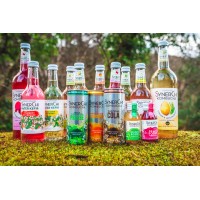 SynerChi Kombucha logo - Similar company to Trudies Kitchen