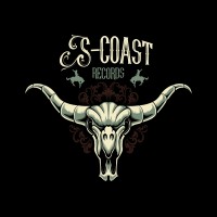 Scoastrecords logo - Similar company to Acezd