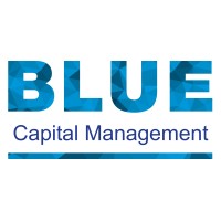 Blue Capital Management Partners LLP logo - Similar company to Africa Oil And Gas Limited
