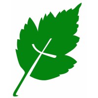 INDIAN LAKE CHRISTIAN SERVICE CAMP logo - Similar company to Fantasy Dance School