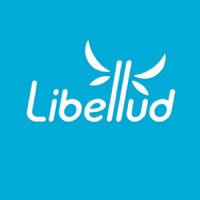 LIBELLUD logo - Similar company to Gigamic