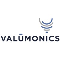 Valumonics logo - Similar company to Vicini