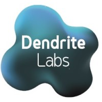 Dendrite Labs Ltd logo - Similar company to Csols Ltd