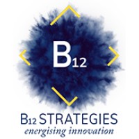 B12 Strategies logo - Similar company to Human Nexus