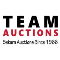 Team Auctions logo - Similar company to Asset Linq