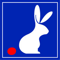 Rabbit Solutions logo - Similar company to Ited Technologies And Solutions