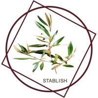 Stablish logo - Similar company to Stablish.Me