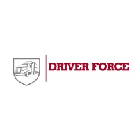 Driver Force logo - Similar company to Driveforce Solutions