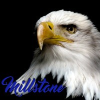 MILLSTONE TOWNSHIP SCHOOL DISTRICT logo - Similar company to The Arc Eastern Connecticut
