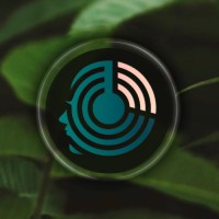 GROUPE COLLABLE logo - Similar company to Salesnative