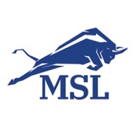 Law Offices of Michael S. Lamonsoff, PLLC logo - Similar company to Dk Law - Injury, Accident, And More