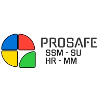ProSafe Consulting SSM SU SRL logo - Similar company to Ssm.Ro