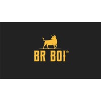 BR Boi logo - Similar company to Integri Advisory