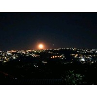 ... logo - Similar company to Only The Bold Ltd