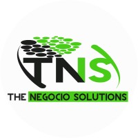 THE NEGOCIO SOLUTIONS logo - Similar company to Blaze Minds Solutions