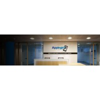 Appingin logo - Similar company to Appingo