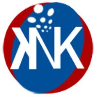 KNK Soft Infotech Pvt. Ltd. logo - Similar company to Knk Software