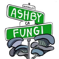 Ashby Fungi logo - Similar company to Morf