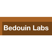 Bedouin Labs logo - Similar company to Dfinance