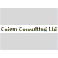 Calem Consulting logo - Similar company to Screen Moguls