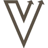 VaViA logo - Similar company to Propel Education