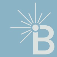 Brightside Marketing logo - Similar company to Creator Media Network