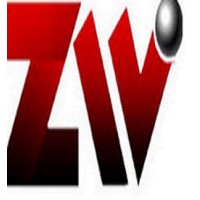 Jinan Zhongwei Casting And Forging Grinding Ball Co.,Ltd logo - Similar company to Fouassin Entreprises Sas