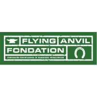 Fondation Flying Anvil logo - Similar company to Sfgu Stiftung Für Gesundheit Und Umwelt