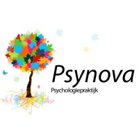 Psynova nl logo - Similar company to Homecomputermuseum