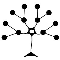 PathCision Medicine logo - Similar company to Aperture Bio