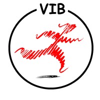 Vereniging In Beweging logo - Similar company to Pulseracingvu