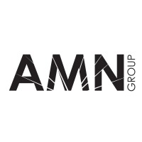 AMN Group (TR) logo - Similar company to Cineboxvr