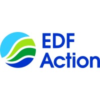 EDF Action logo - Similar company to Vite Digital