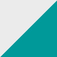 Pinah logo - Similar company to Hbg Co.