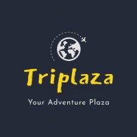 Triplaza logo - Similar company to Techcodz (Pvt) Ltd