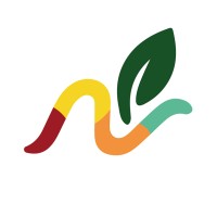 HiMambo logo - Similar company to Asdf Studio