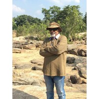 Indian Wildlife Odesseys logo - Similar company to Indian Bird Conservancy - Ibc