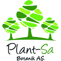 Plantsa Botani̇k
