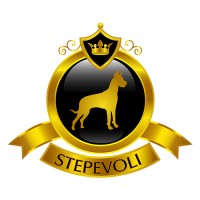 stepevoli logo - Similar company to The Forest Super Food